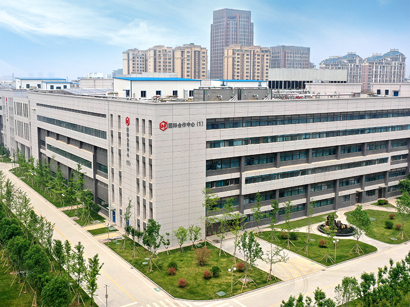 Company Profile